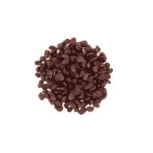 import placeholder for 6636